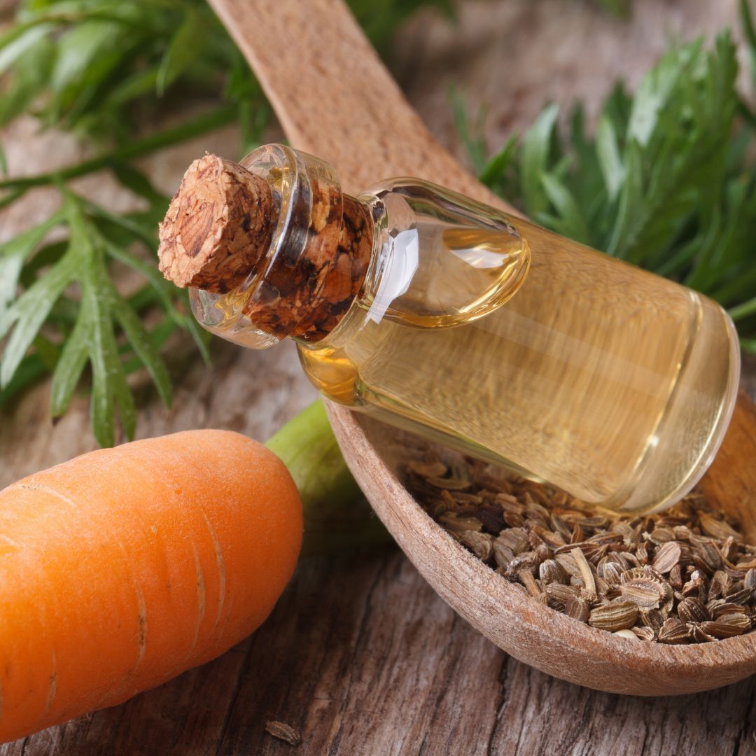 Benefits of Carrot Seed Oil For Hair Growth and Skin Treatment